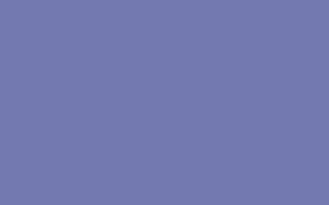 purple flower perennial plants