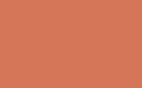 what does orange roses signify